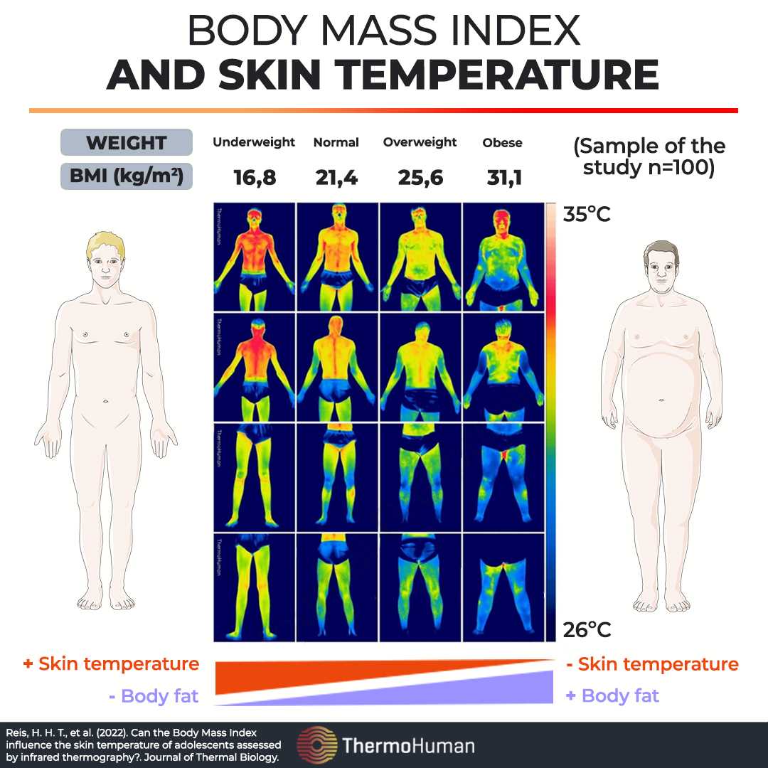 Factors influencing body fat percentage